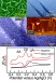 Researchers Developing New Strategies to Exploit Electronic Properties of Graphene