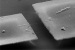 Spanish Researchers Develop Ultrasensitive Mass Sensor with Atomic Precision