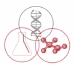 DuPont Rated First with the Strongest Patent Portfolio in the Chemical Industry