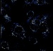 Interdisciplinary Research Group Develop an All-Around Effective Nanoparticle Drug Delivery System
