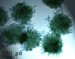 Nanotechnology Leads to Self Healing Paints and Clever Packaging