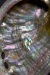 New Light on Nacre's Nanostructural Architecture Using Advanced Light Source (ALS)