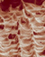 Using Biomimetic Scientists Create the Toughest Ceramic Ever Produced
