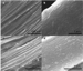 Development of "Smart Fabrics" to Monitor Health