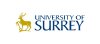 Surrey Wins Major Grant for Organic-Inorganic Hybrid Solar Cells