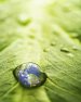 Environmentally Friendly Primer for Digital Printing
