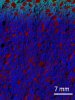 Nanomaterials Double the Service Life of Concrete