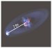 First Ever Images of an Atomic Nucleus with Halo