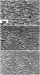 Slimmer Copper Nanorods Brings 3D Chip Technology A Step Closer
