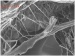 Finding Could Produce Tougher More Durable Composite Frames for Cars, Planes and Boats