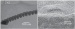 GoNano Wins Grant to Develop Novel Electrodes for Next Generation Ultracapacitors