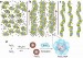 Magnetism May be the Answer for Bioengineers Trying to Grow New Tissue