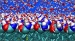 Molecular Dynamics Simulations Used to Determine Thermal Conductivity