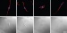 Scorpion Venom and Nanoparticles Used to Treat Brain Cancer