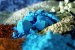 BASF to Sell Chinese Catalyst Manufacturing Facility