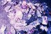 Blog Summit on Plastics Recycling Hosted by American Chemistry Council