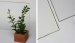 New Grade of Antireflective Glass Engineered for Solar Cell Applications