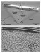 Nanoscale Features Made to Appear Invisible