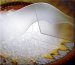 DuPont Commercializes Two New Families of Photovoltaic Encapsulant Sheets