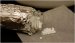 Novel Approach Estimates How Much Nano-Sized Titanium Dioxide is being Produced