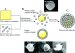 Nano-Hybrid Microcapsules Increase Effectiveness of Medicines