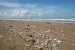 Plastic Bags Make Up  A Large Portion of Marine Litter