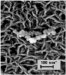 Production of Self-Replicating Concentrated Homochiral Metallofullerene Double Alpha Helices with Buckyballs