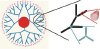 Branched Network of Carbon Nanotubes Could be the Secret to Success of NEMS