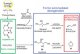 Plastics Could be Made from Biomass Eliminating the Need for Petrochemicals