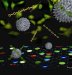 Nanoparticles and Polymers More Effectively Differentiate Cancer Cells