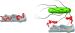 New Biosensor Detects Salmonella Typhi