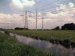 25 Million Euro Grant to Develop Solar Technology Inspired by Plants
