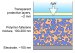 New Class of Economically Viable Flexible Solar Cells Nears Reality