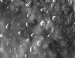 Self Healing Surfaces