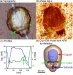 Nanoscale Imaging Tool Works Differently in Watery Environments