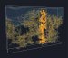 First Ever High-Resolution 3D Images of a Polymer Solar Cell