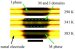 Scientists Answers Elusive Scientific Question on Phase Inhomogeneity
