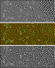 Revolutionary SEM Provide Simultaneous Nanoscale Imaging