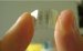 Disposable Highly Sensitive Detector for Explosives and Toxins