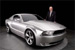ACG Composite Panels Adorn Limited Edition Mustang