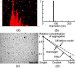Multiple NanoSight Nanoparticle Characterization Systems in Use at the University of Birmingham