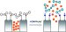 On the Spot Test for Toxic Mercury