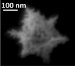 Gold Nanostars Discovered while Trying to Make Graphene More Useful