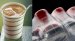BASF Offers a New Biodegradable Plastic