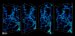 Trying to Mimic the Way Minerals Grow in Biological Systems in Nature