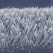 Peptides Assembled at the Nanoscale Form Self-Cleaning Surface for Windows and Solar Cells