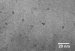 Scientists Discover the Secret behind Superinsulation