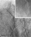 New Support Greatly Increases the Durability of Proton Exchange Membranes Fuel Cells