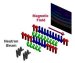 First Observation of Nanoscale Symmetry Hidden in Solid State Matter