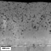 Smart Coating Improves Biocompatibility of Implants and Reduces Infection